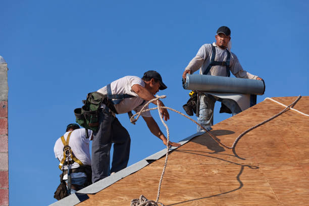 Best Roof Gutter Cleaning  in Ckam Housing, HI
