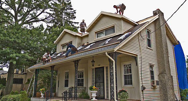 Best Roof Repair Services  in Ckam Housing, HI